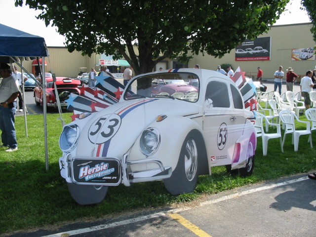 Copy of IMG_8416.JPG